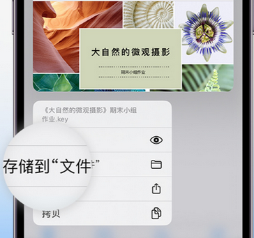 涞水apple维修中心分享iPhone文件应用中存储和找到下载文件