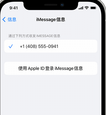 涞水apple维修iPhone上无法正常发送iMessage信息 