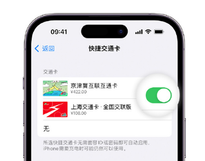 涞水apple维修点分享iPhone上更换Apple Pay快捷交通卡手绘卡面 