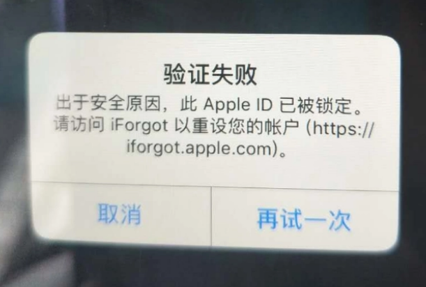 涞水iPhone维修分享iPhone上正常登录或使用AppleID怎么办 