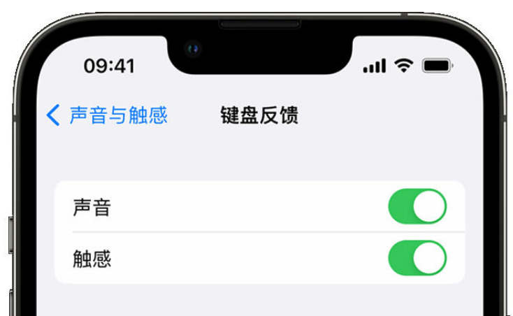 涞水苹果手机维修分享iPhone 14触感键盘使用方法 