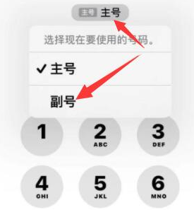 涞水苹果14维修店分享iPhone 14 Pro Max使用副卡打电话的方法 