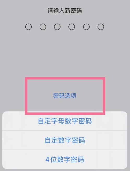 涞水苹果14维修分享iPhone 14plus设置密码的方法 