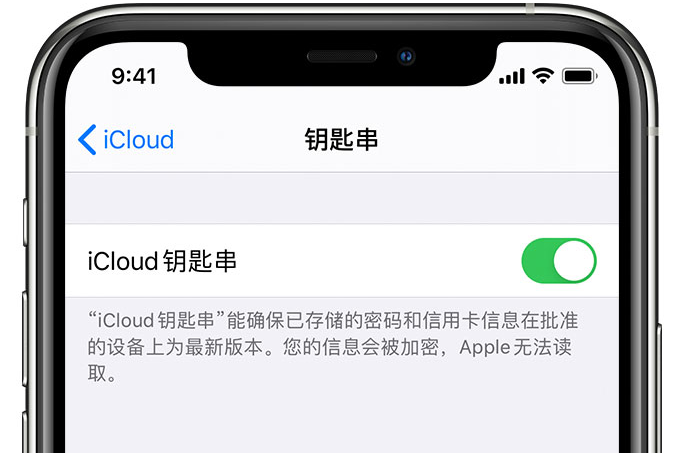 涞水苹果手机维修分享在 iPhone 上开启 iCloud 钥匙串之后会储存哪些信息 