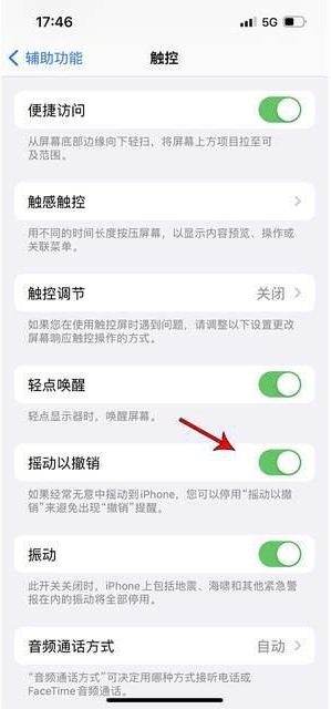 涞水苹果手机维修分享iPhone手机如何设置摇一摇删除文字 