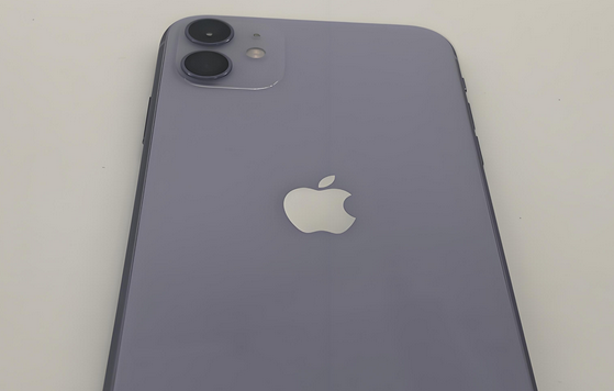 涞水苹果11系统维修分享iPhone11手机系统崩溃无法开机如何解决